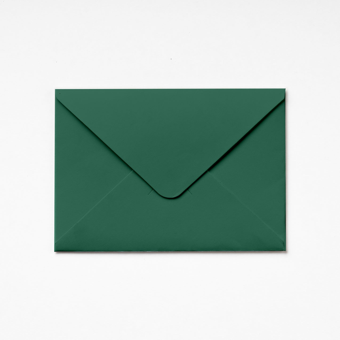 A6 Envelope - Leaf