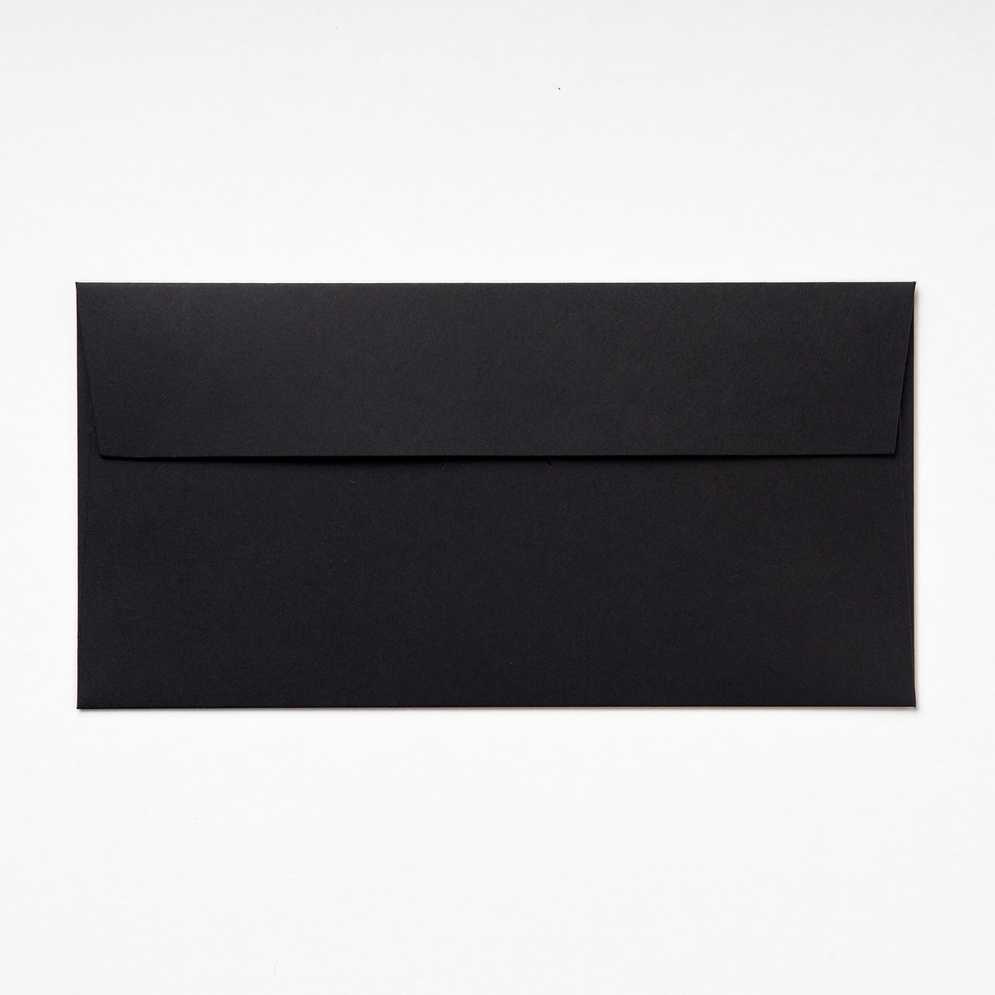 DL Envelopes - Available In 6 Different Colors