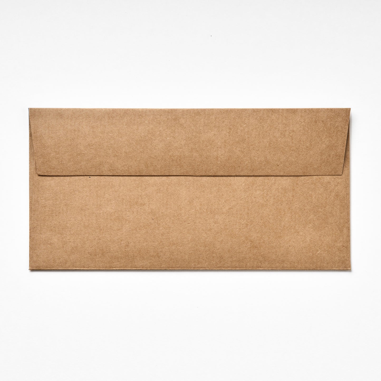 DL Envelopes - Available In 6 Different Colors