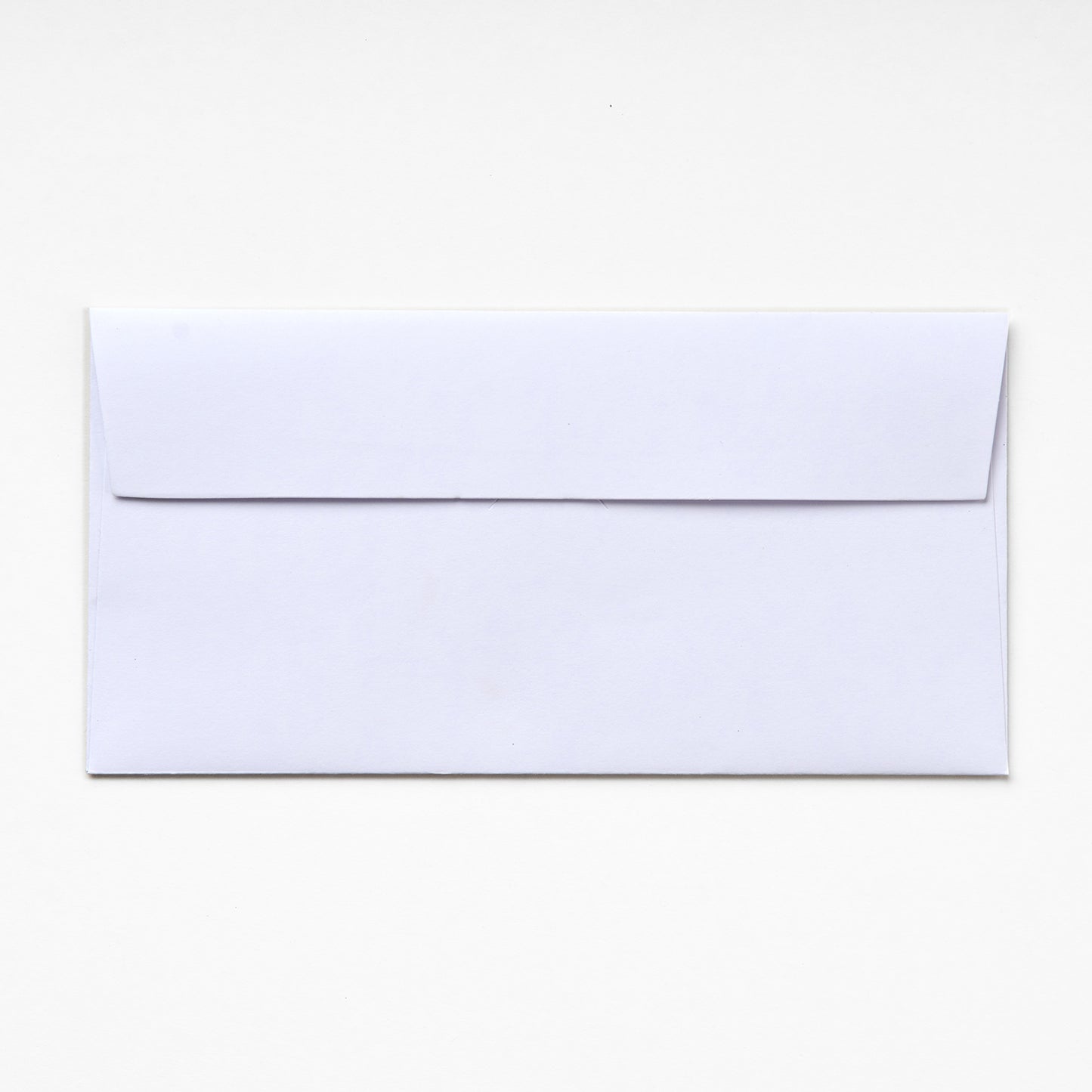 DL Envelopes - Available In 6 Different Colors