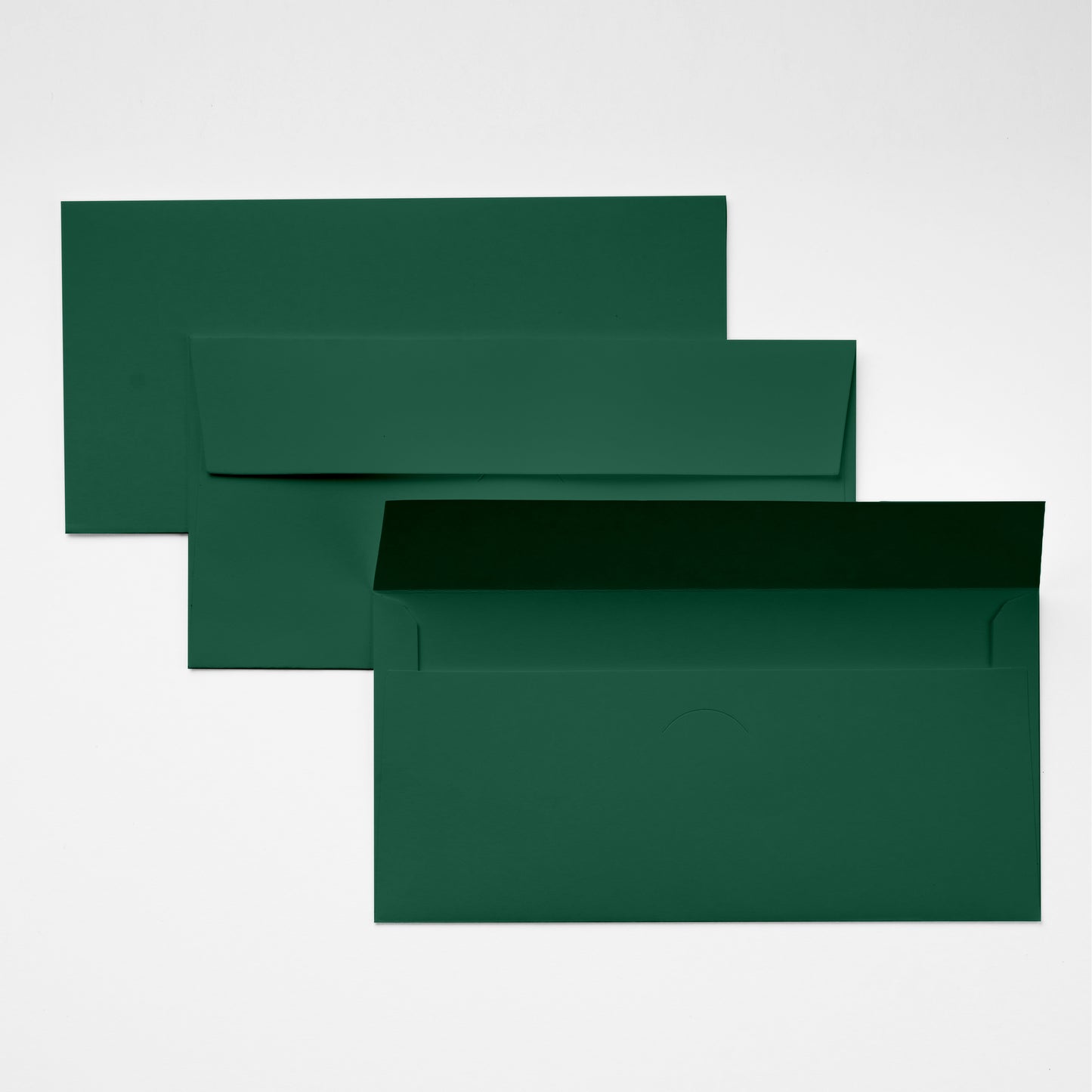 DL Envelope - Leaf